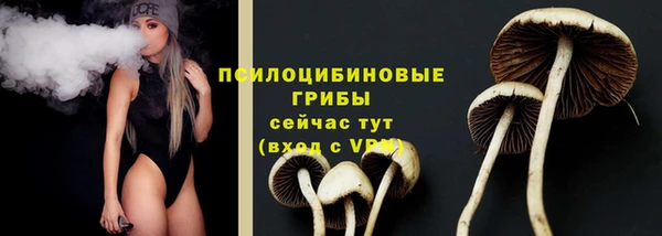 ГАЛЛЮЦИНОГЕННЫЕ ГРИБЫ Армянск