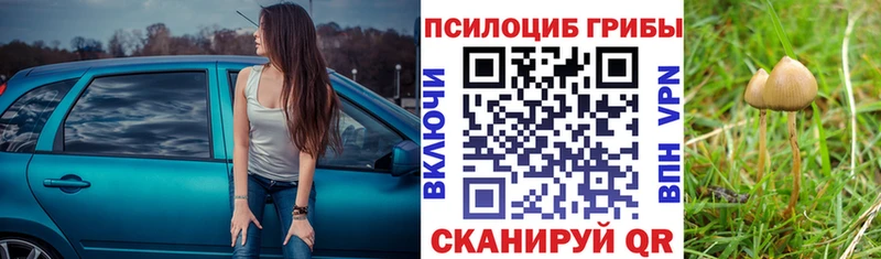 Псилоцибиновые грибы Magic Shrooms  Купить закладки  Верхняя Салда 